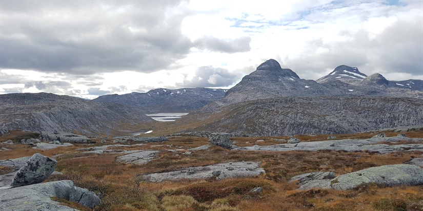 Klima for mer forskning på rein